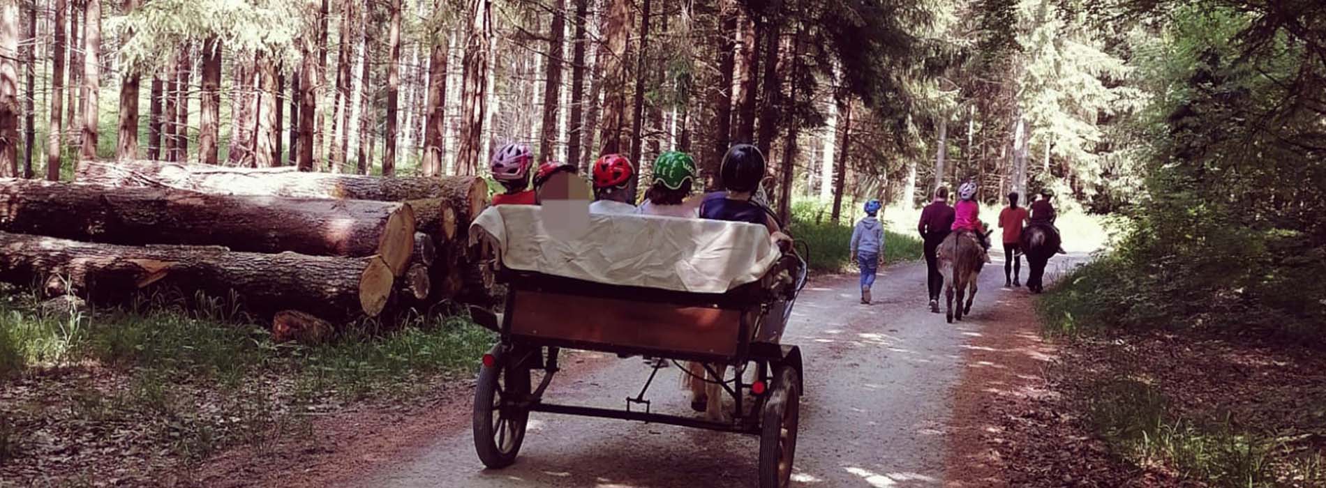 Ausritt mit Berghof Ponys