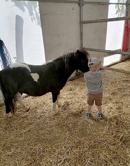 Kind mit Berghof Pony