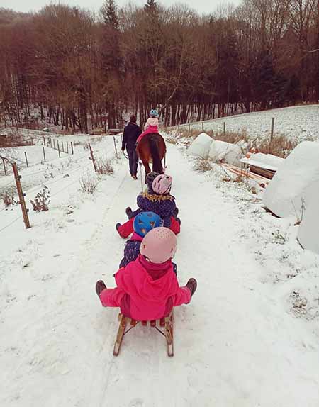 Winterspaß mit Schlitten und Berghof Pony
