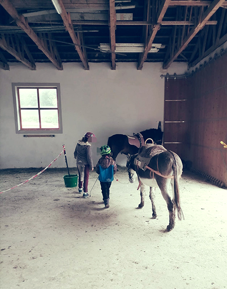 Kinder mit Berghof Ponys