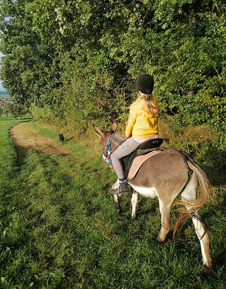 Pfingstferien Reitferienkurs