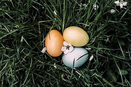 Osterferien mit Pferden