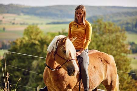 Reitkurs für Erwachsene