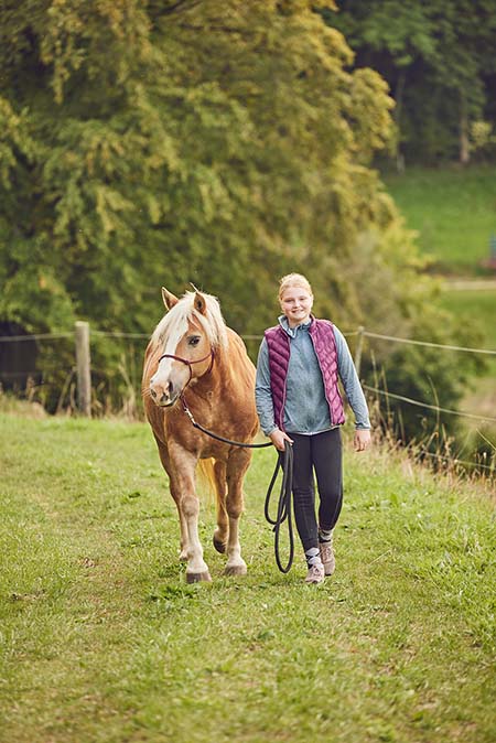 Pferde & Esel reiten