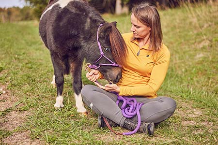 Pferde & Esel reiten