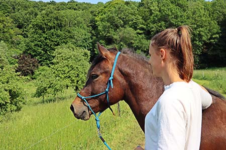 Pferde & Esel reiten