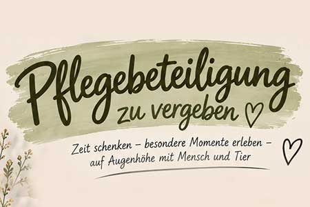 Pflegebeteiligung für Pferde, Pony, Esel zu vergeben